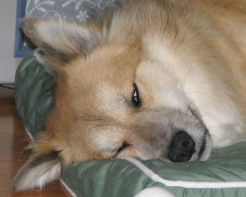 �n���̔���