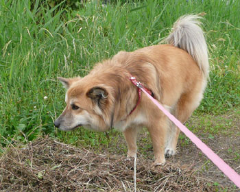 �ǂ����Ă��E�E�E