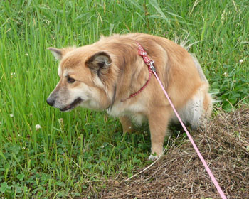 ���Ղ��c������