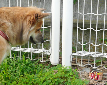 �����j�I�C�������