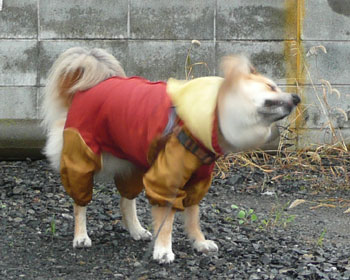 �u���u�����Ă��Ȃɂ��̂ɂ܂Ƃ����Ă���