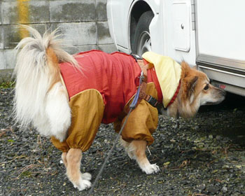 �Ԃ̉��͔L�|�C���g����