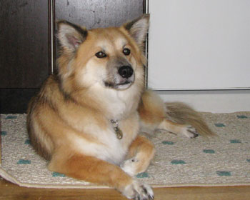 ���N���甚�|�����킭�Ȃ���