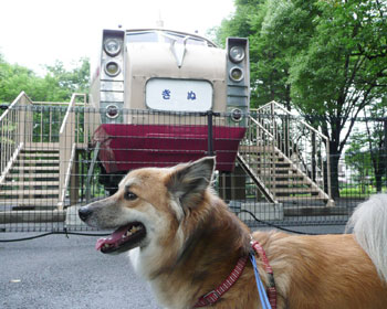 ���E���B���ڂ�L�O�ɂ��ʍ���