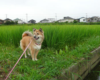 �����������L�т܂���