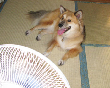 ��@���Ă������