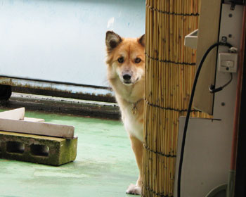 �U�����Ă΁E�E�E