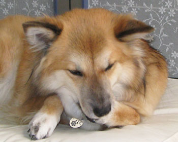 ���������