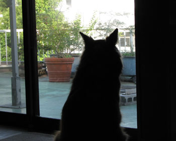 �U���E�E�E