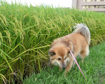 ����܂��̑������������񂾂�