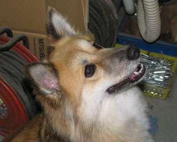 �l�R�����A�l�R