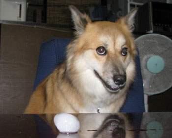 �Ђ傤�Ɨ��Ńr�r��