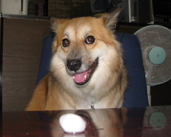 �r�r��炪�Ȃ����Ί�