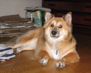 ���Ƀr�r���Đ^���Âȕ��u�����ɂ�����