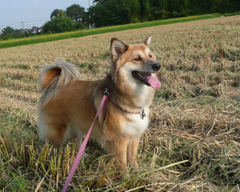 ��肪�n�܂����I