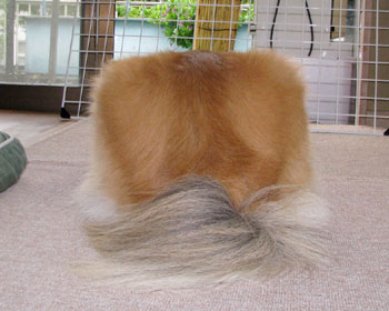 �䕗�̒��A�U����҂K