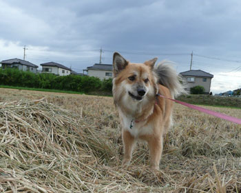 �䕗������}���Ȃ��Ƃ�