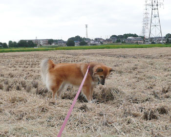 �J�G�����B��Ă邩��悭���Ă�