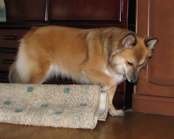 ���u�����ł��남��