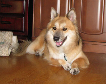 �Ί�̓r�r��炾��