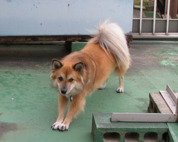 �K���L�т��������Ƒ������Ă���