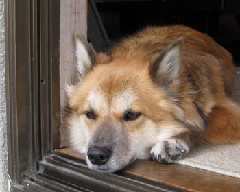 �H�͂������C��������