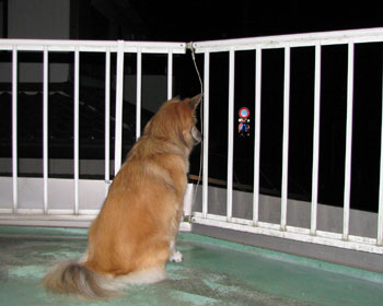 �锼�A�Èł����߂�