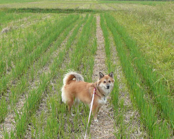 ������ƐL�т������D��