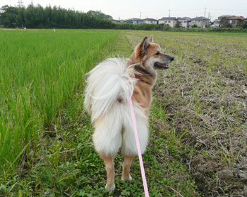 �@����ƕ����ɂ����񂾂�