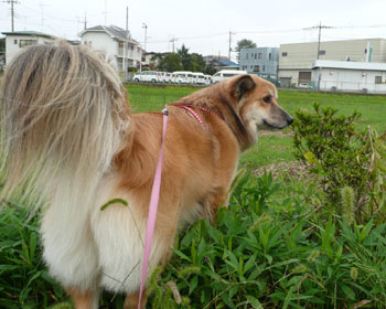 �N�x���m�F