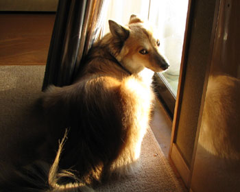 �U���̑O�͖ڂ������Ƃ�