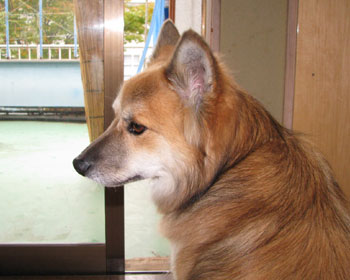 ���Ԃ������Čł܂�