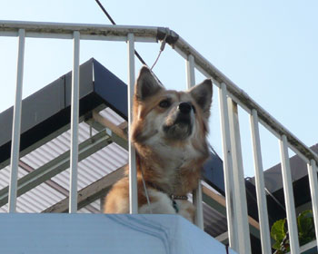 �����肪�Z�����񂾂�