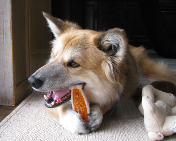 ���߂��ꂽ�悤��