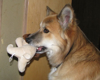 �Ȃ����F�B�����킦�ĊO���Ȃ��߂�