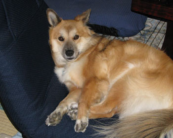 ���֎q�̃V�[�Y��