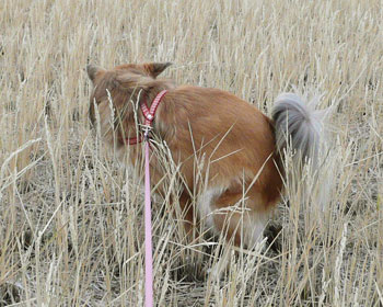 �u�c���m�F