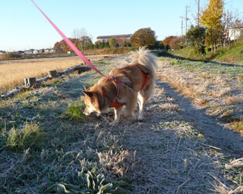 ���̔����̂͑����Ă����񂾂�