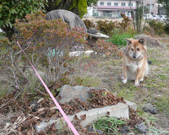 �͂��I�O�ɐi�߂Ȃ��Ȃ���