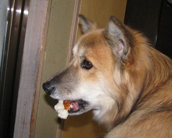 �O�ɋC������ăo�J��