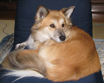 �ق��Â��H