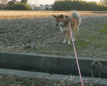 �ǂ����Ă������ōl������ł��܂�