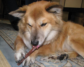 ������������������