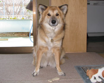 �C�ɓ���Ȃ�����