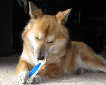 �M������Ǝ����������