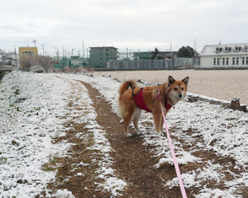 ����ڂ����Ǐ��Ⴞ��