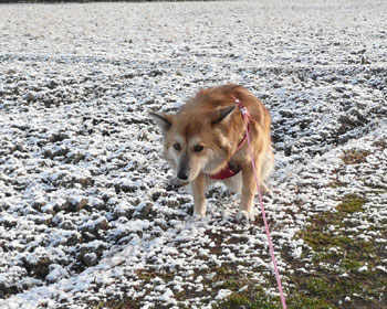 �n��������Ȃ�