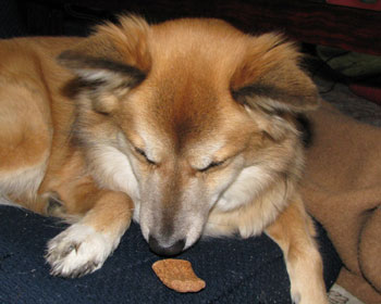 �V����������������