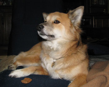 �C�ɓ���Ȃ�����