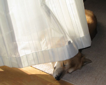 ��������Ƃ����������񂾂�